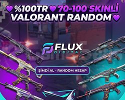 100TR  70 - 100 SKINLİ VALORANT RANDOM