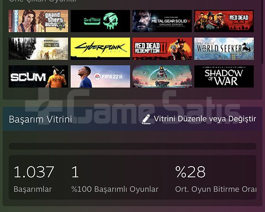 YILLARIMIN EMEĞİ SATILIK FULL DOLU DOLU HESAP DLCL