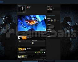 12 LVL CS SEÇKİN + SKIN + GTA ONLINE FULL 23 OYUN