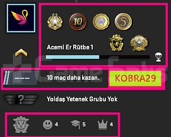 FACEİT+ 6 MADALYA 304 WİN 554 SAAT SEÇKİN