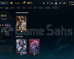 804 ADET KOSTÜMLÜ YÜKSEK ELO KOLEKSİYONLUK HESAP