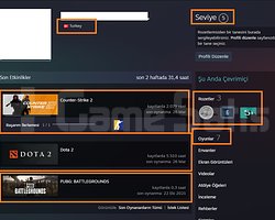4930 MMR RUST 5.510 DOTA 2 SAATLİ 4750 TL STEAM OY