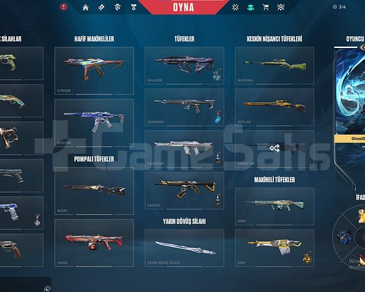 Bol skinli Plat hesap 13+k yatırıldı