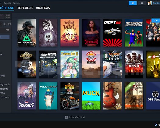 EFSANE STEAM HESABİ BU HESAPPP KAÇMAZZZ !!!!!!!!!