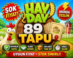 89 Adet Tapu