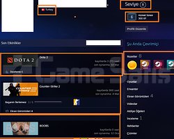 1226 AD İTEM DOTA 2 3.271 SAATLİ DOTA 2 VE STEAM E