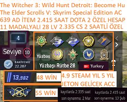11 MADALYALI 28 LV The Witcher 3 Detroit Become H