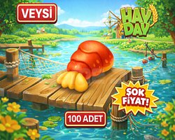 UCUZ 100 ıstakoz