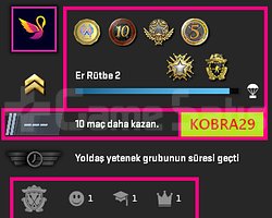 FACEİT+ 6 MADALYA 226 WİN 515 SAAT SEÇKİN