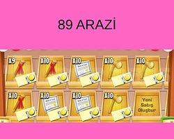 UCUZ 89 ARAZİ