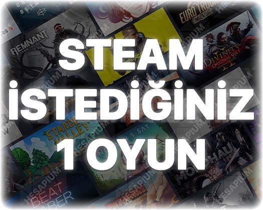 İstediğiniz 1 Oyun + Garanti