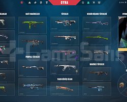 331 Level Altın 3 peak TR Hesap