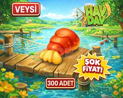 EN UCUZ 300 ıstakoz