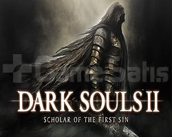 Dark Souls 2 Scholar of The First Sin + OTO GUARD