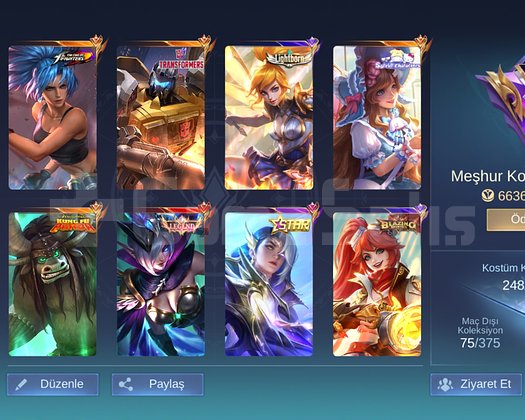 Mobile legends bang bang