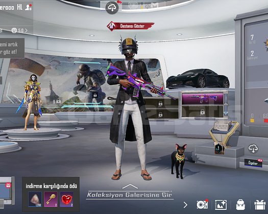 2 LOTUS + 1370 ARABA PARASI MASKARA 6