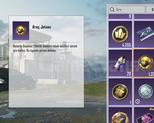 2 LOTUS + 1370 ARABA PARASI MASKARA 6