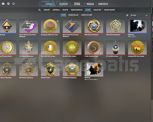 62 LVL STEAM 14K SAAT FACEIT 10 LVL MAİNLİK HESAP