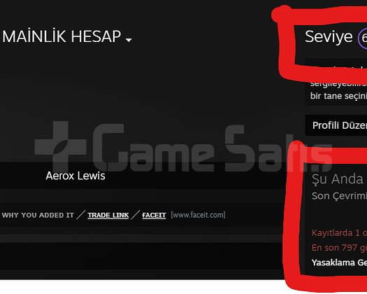 62 LVL STEAM 14K SAAT FACEIT 10 LVL MAİNLİK HESAP