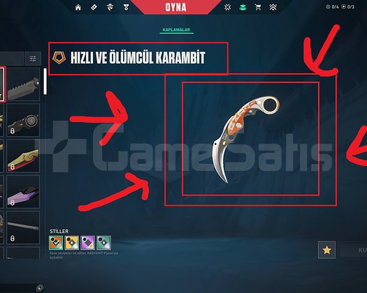 249 LVL - BOL SKİNLİ / MAİNLİK - MAİL DEĞİŞEN
