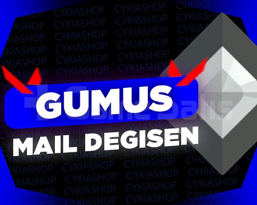 GÜMÜŞ / MAİL DEĞİŞEN / GARANTİ + DESTEK