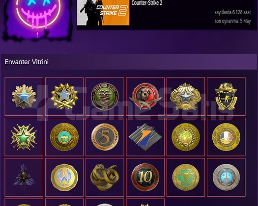 23 MADALYA / 113 LVL STEAM PROFIL / TR / 173 OYUN