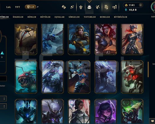 34 LVL + 66 KOSTÜM + 1.141 RP + MAİL + TEL!