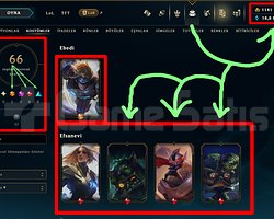 34 LVL + 66 KOSTÜM + 1.141 RP + MAİL + TEL!
