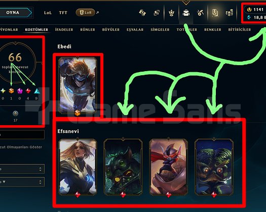 34 LVL + 66 KOSTÜM + 1.141 RP + MAİL + TEL!