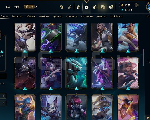 210 LEVEL + 60 KOSTÜM + 1.925 RP + 109 HERO+ MAİL!