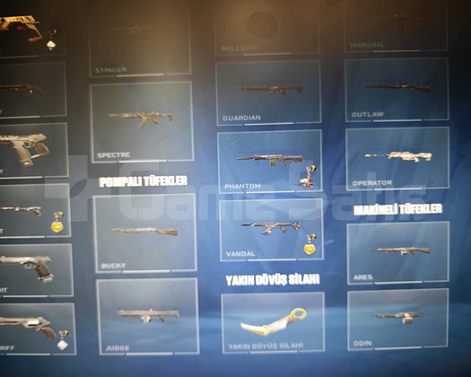 Gold hesap 3 vandallı