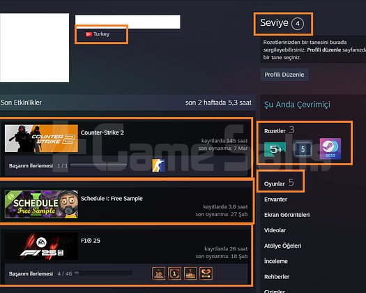 2 MADALYALI 12 LV FACEİT F1 25 RAFT LEGO DC Super
