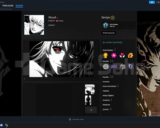 ilk mail seckin hesab steam level 31