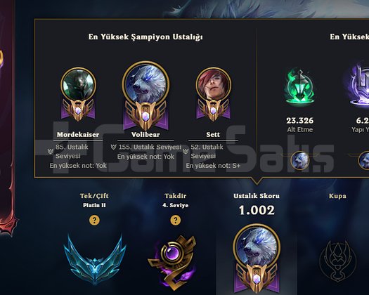 PROFESYONEL TOP LANE OTP HESAP