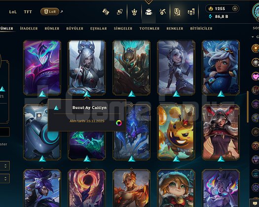 EUW 293 LEVEL DOLULAR DOLUSU 1250 RPLİ MAİLLİ!!!