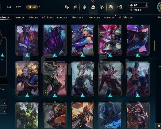 411 LVL + 112 KOSTÜM + 172 HERO + GOLD 2 + MAİL!
