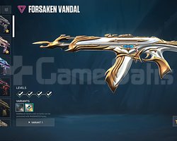 TR + MAİL DEĞİŞEN + 8 VANDAL + BOL SKİN!