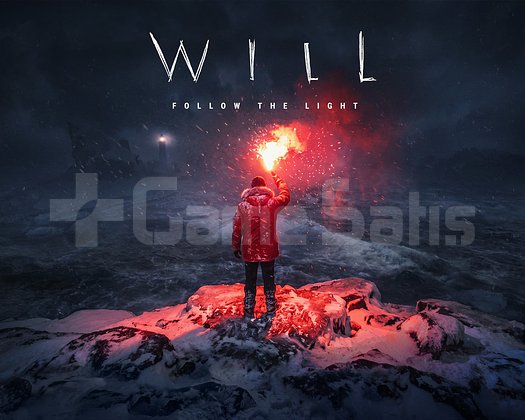 WILL Follow The Light | Supporter Edition