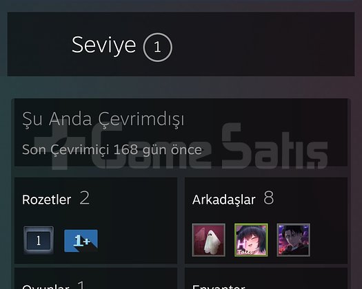 -CS 2 -TEMİZ AZ KULLANİLMİS HESAP