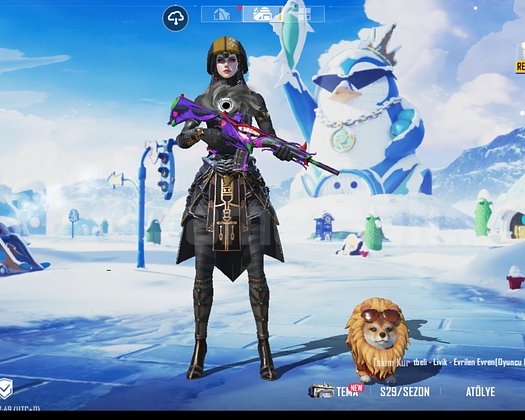 PUBG dolu hesap