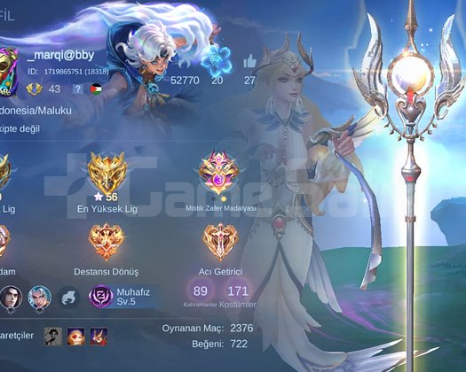 LING SILVANNA COLLECTOR