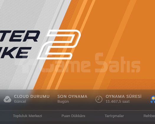 11K Saatli SEÇKİN AKTİF Cs ve Steam Hesabı