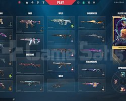 UNRANKED SKİNLİ HESAP