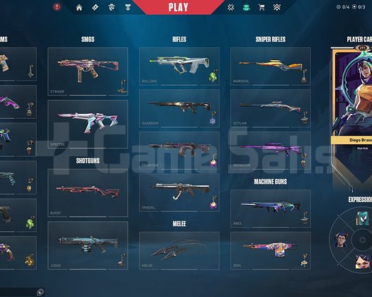 UNRANKED SKİNLİ HESAP