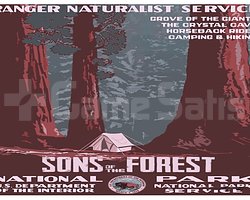 Sons of The Forest