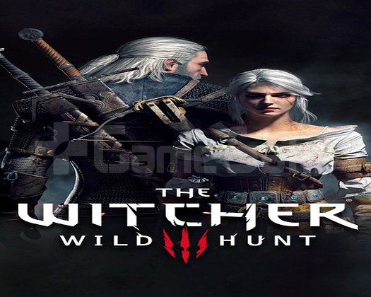 The Witcher 3