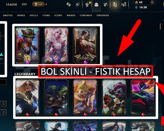 223 LVL + 179 SKİN + FIRSAT HESAP + MAİL !!!!