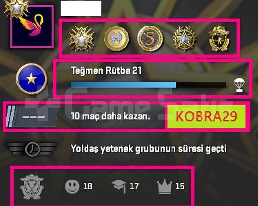 TR HESAP+FACEİT+5 MADALYA 368 WİN 782 SAAT SEÇKİN