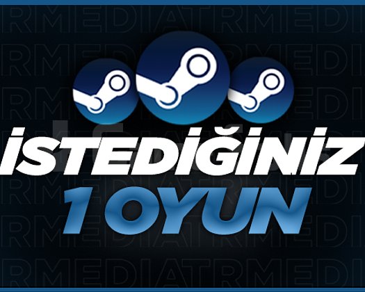 İSTEDİĞİNİZ 1 ADET OYUN + GARANTİ + DESTEK
