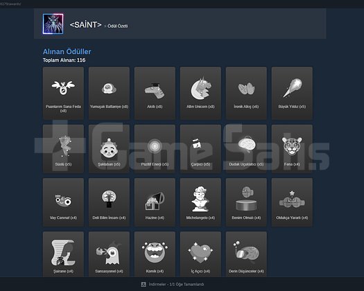 DOLU STEAM HESABI +58 LVL